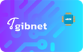 gibnet-in-15days-2gb