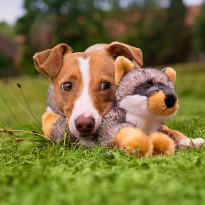Fluff & Tuff Sterling Fox Plush Dog Toy