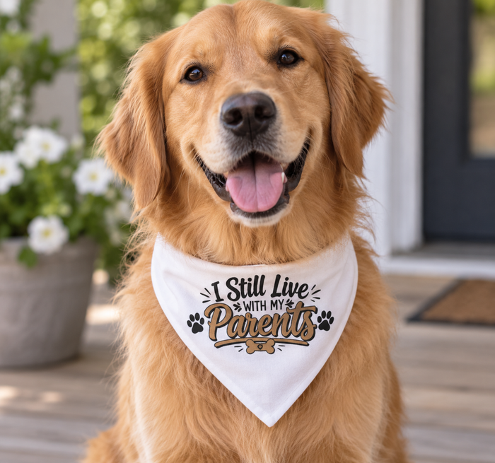 Funny Dog Bandana, I Still Live With My Parents Pet Bandana, Cute Dog Gift, Funny Puppy Accessory