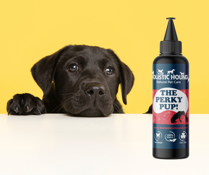 Holistic Hound The Perky Puppy Dog Supplement