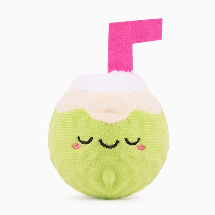 Hugsmart Beach Daze Coconut Ball Dog Toy
