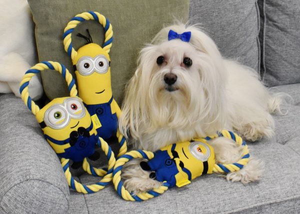 Minions Rope Tug Dog Toy