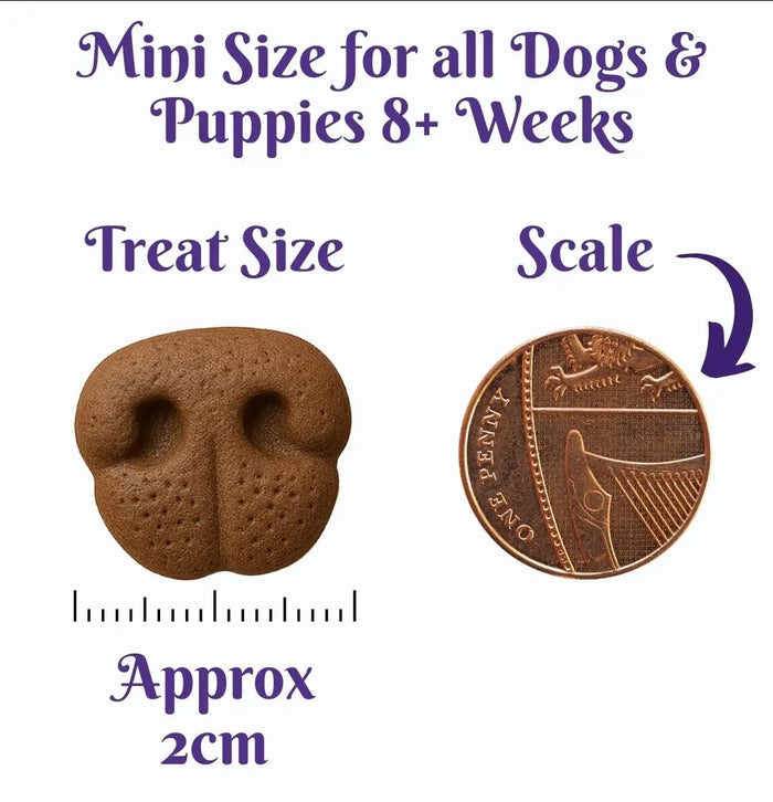 Park Life Noses Classic Favourites Dog Treat