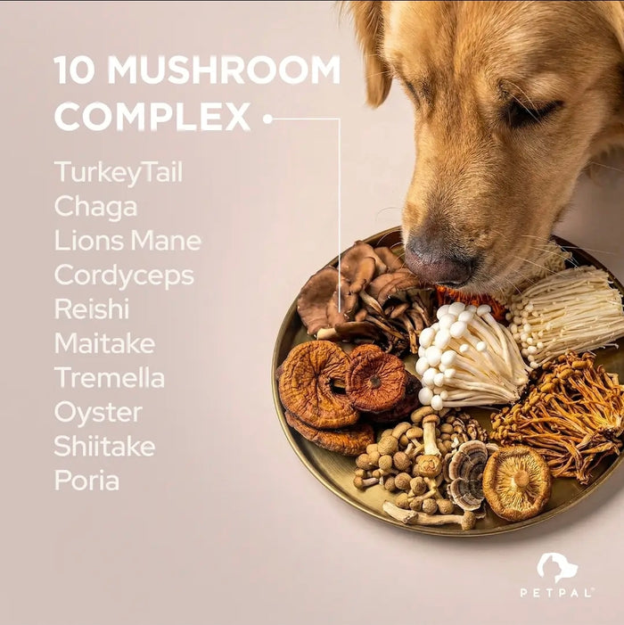 Petpal Super Mushroom Dog Treat Supplement