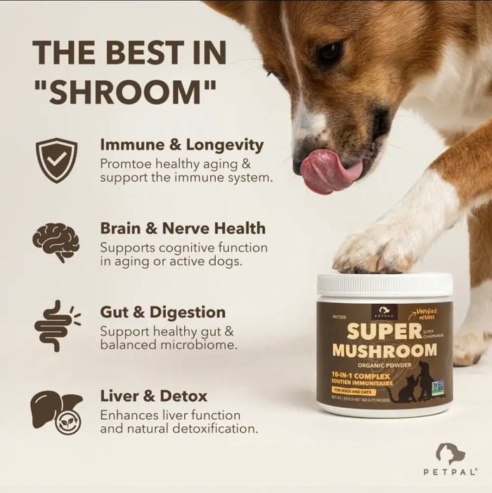 Petpal Super Mushroom Dog Treat Supplement