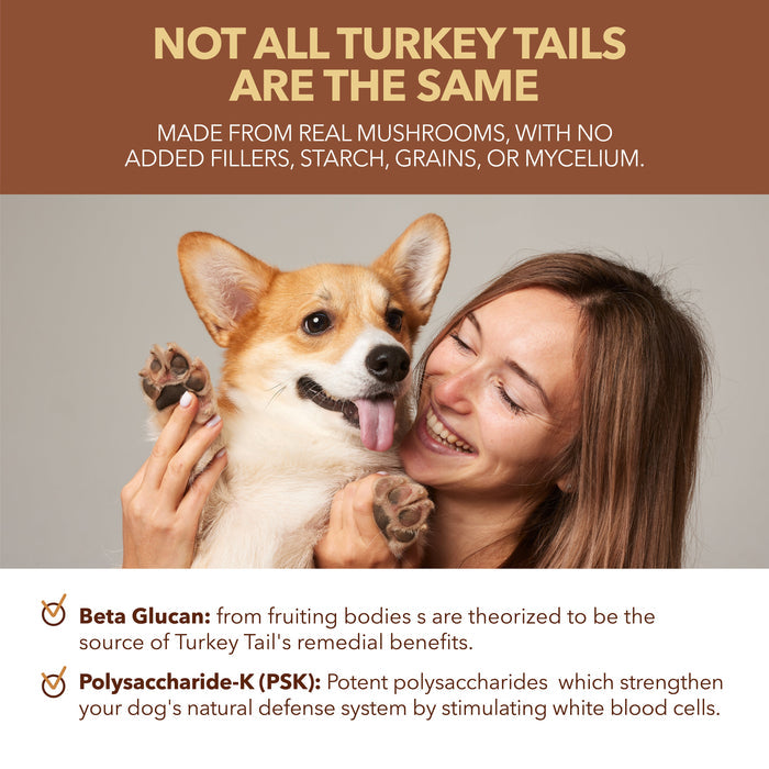 Petpal Turkey Tail Dog Supplement
