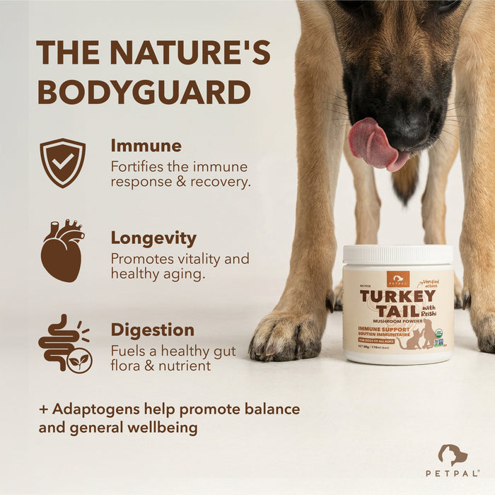 Petpal Turkey Tail Dog Supplement